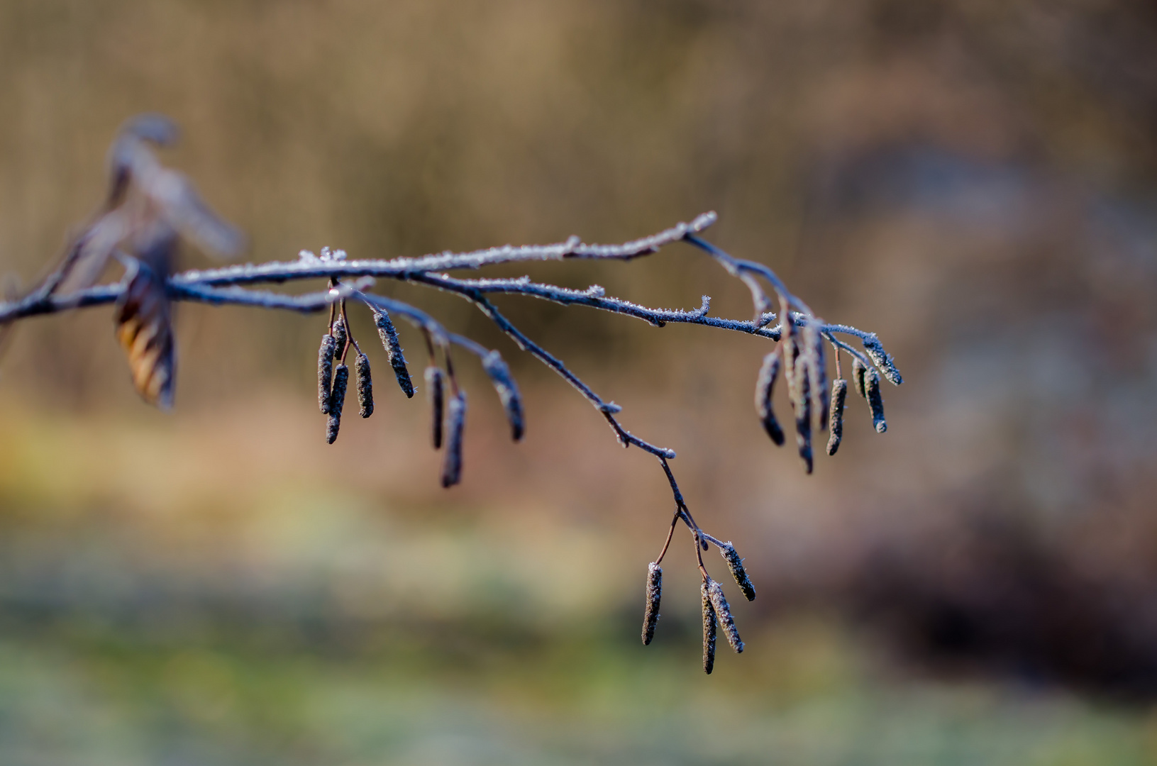 eiskalte Würstchen