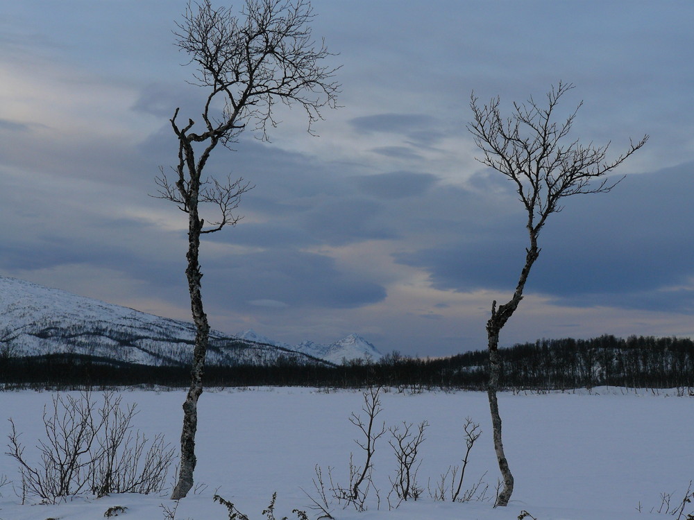 Eiskalter Ausblick