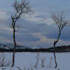 Eiskalter Ausblick