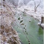 Eiskalter Bachlauf