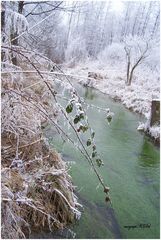 Eiskalter Bachlauf