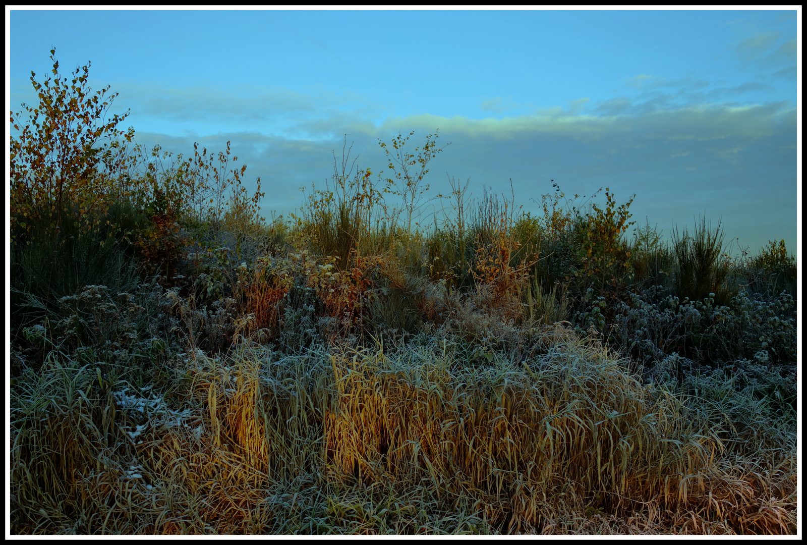 Eiskalter Herbstmorgen