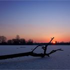 Eiskalter Lichtblick