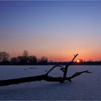 Eiskalter Lichtblick