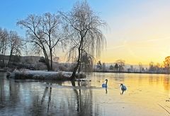 Eiskalter Morgen