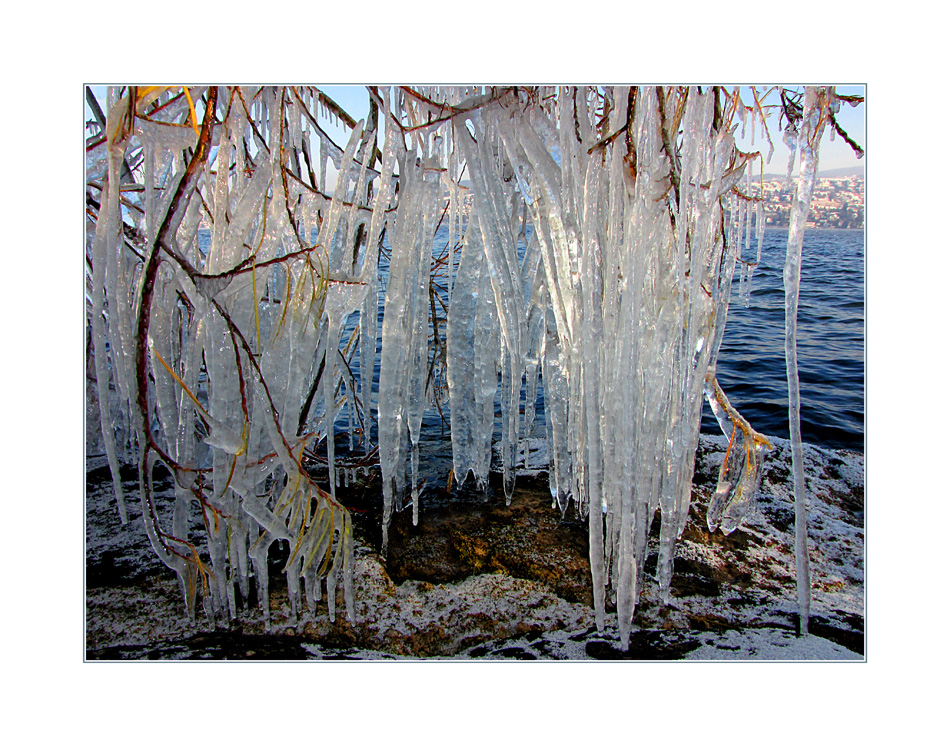 Eiskalter Morgen am See