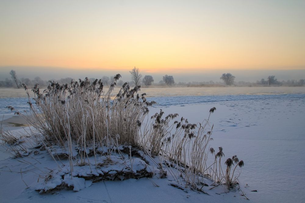 Eiskalter Morgen