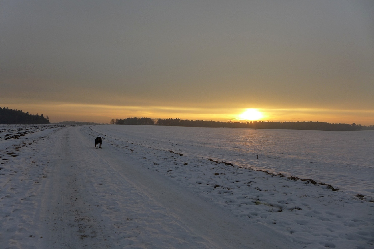 Eiskalter Morgen