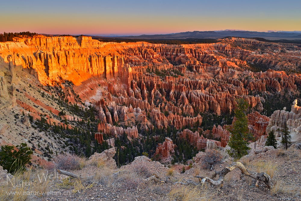 Eiskalter Morgen im Bryce Canyon - DRI