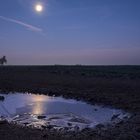 Eiskalter Morgen mit Vollmond