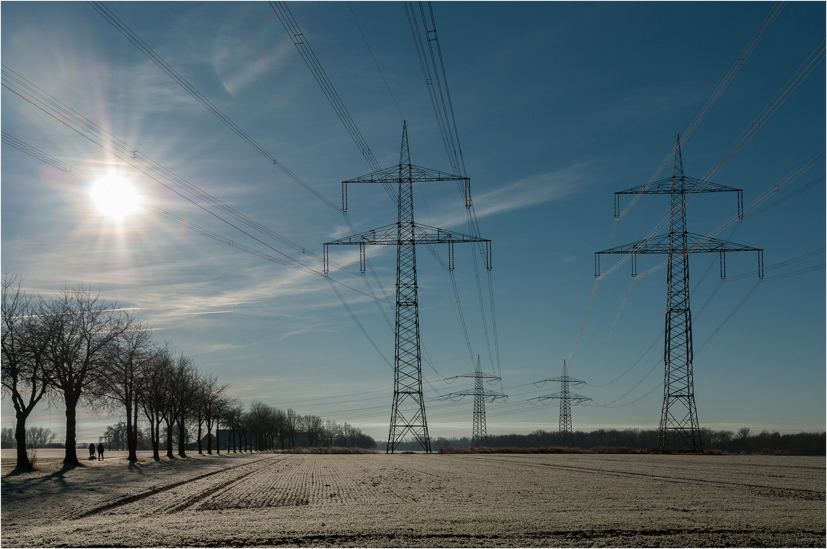 Eiskalter Morgenspaziergang