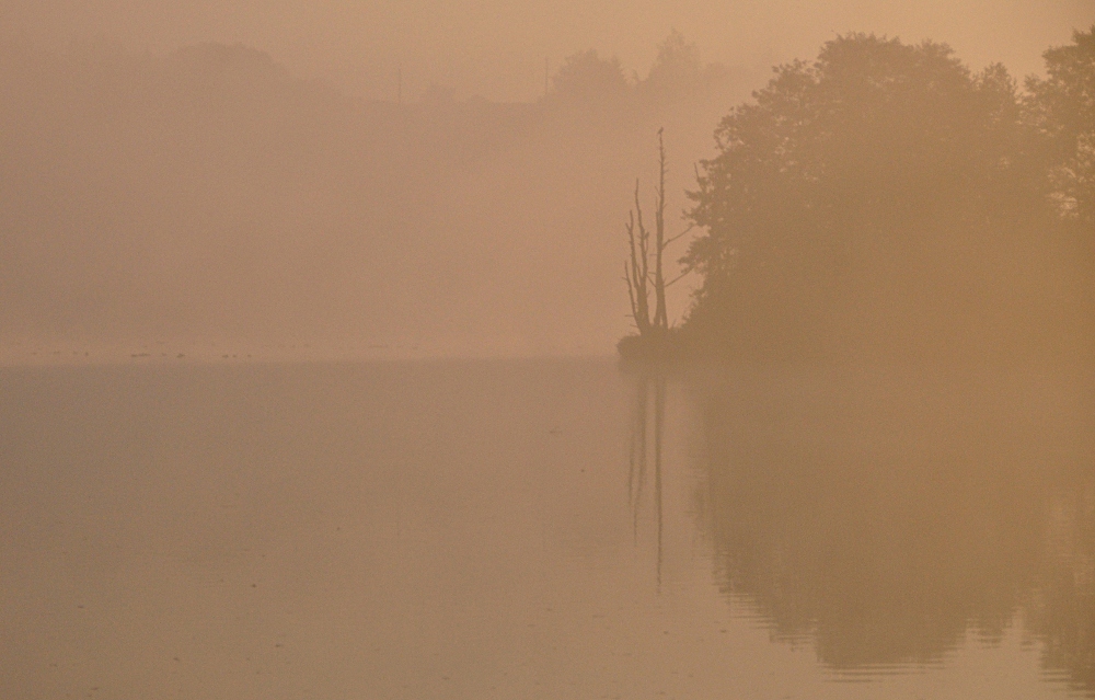 Eiskalter Nebelmorgen am Lac du Val Joly von Yeppie 