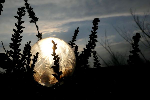Eiskalter Sonnenaufgang...