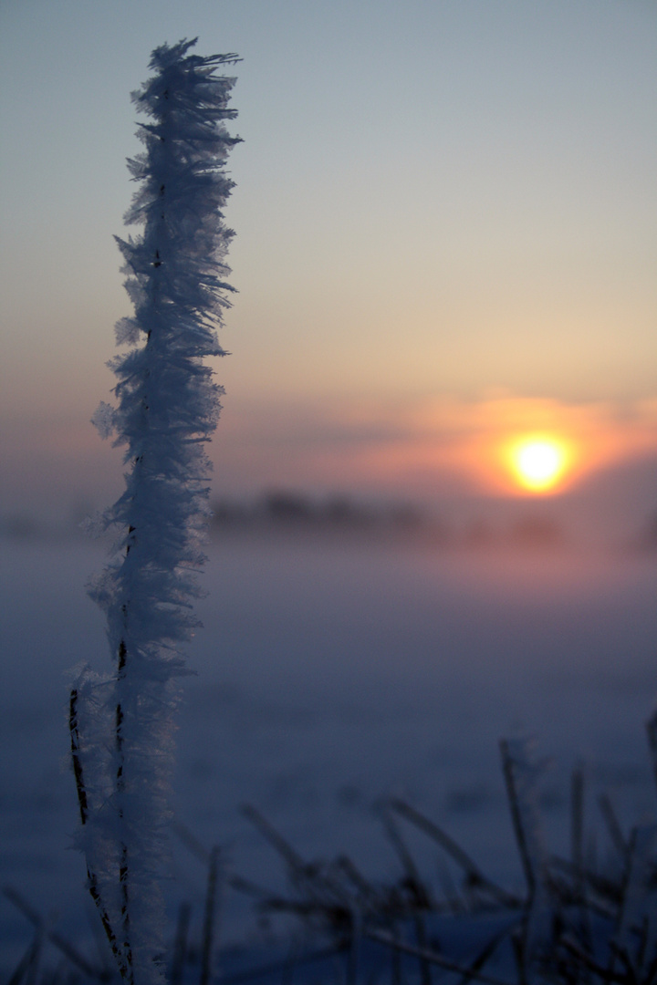 Eiskalter Sonnenaufgang