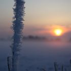 Eiskalter Sonnenaufgang