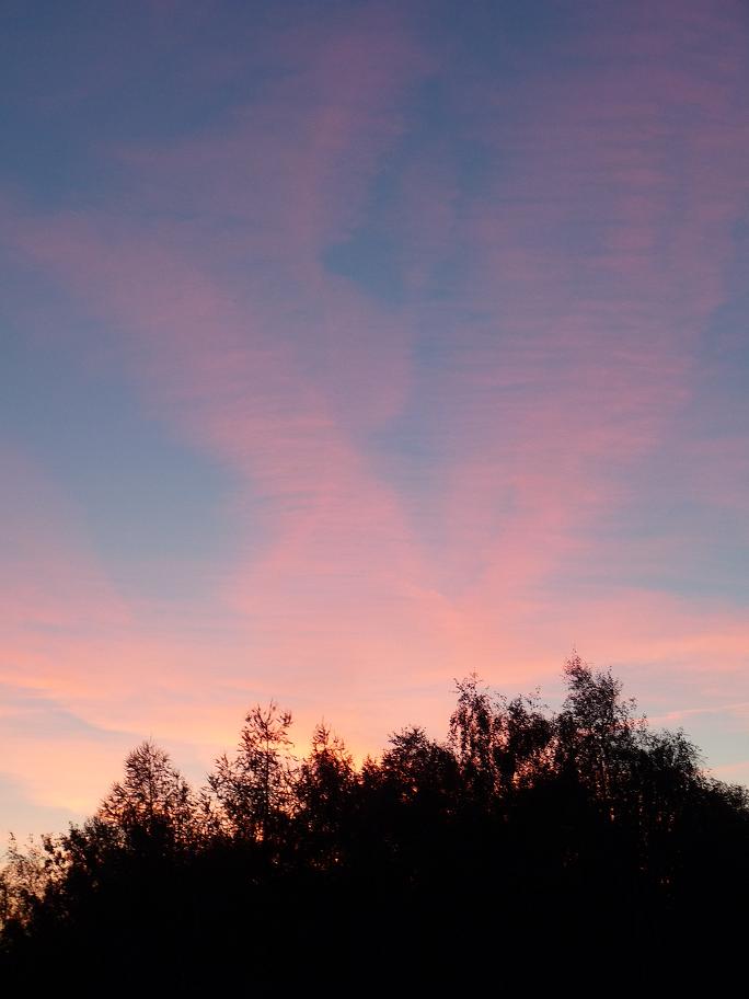 eiskalter Sonnenaufgang im Oktober