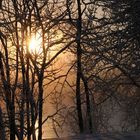 eiskalter Sonnenaufgang im Winter