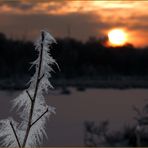 Eiskalter Sonnenuntergang