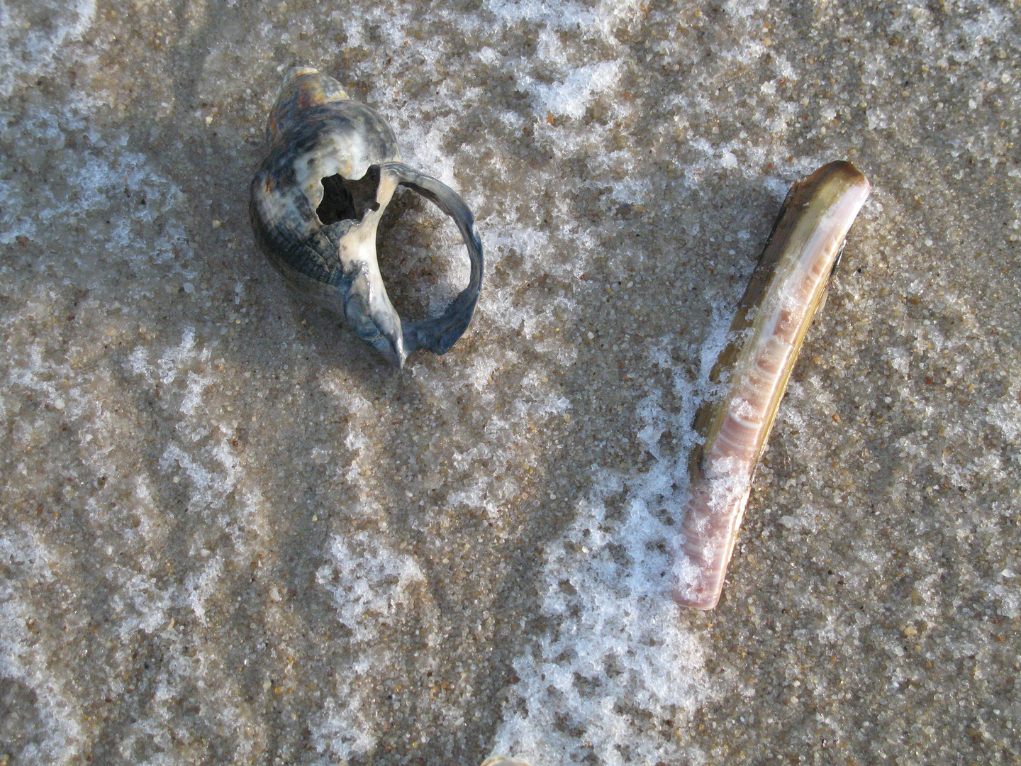 Eiskalter Strand I