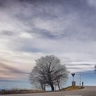 Eiskalter Wind im Schauinsland