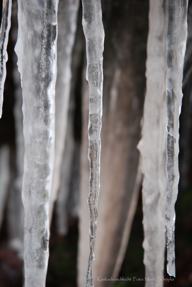 Eiskalter Winter von Maria Schöpke 