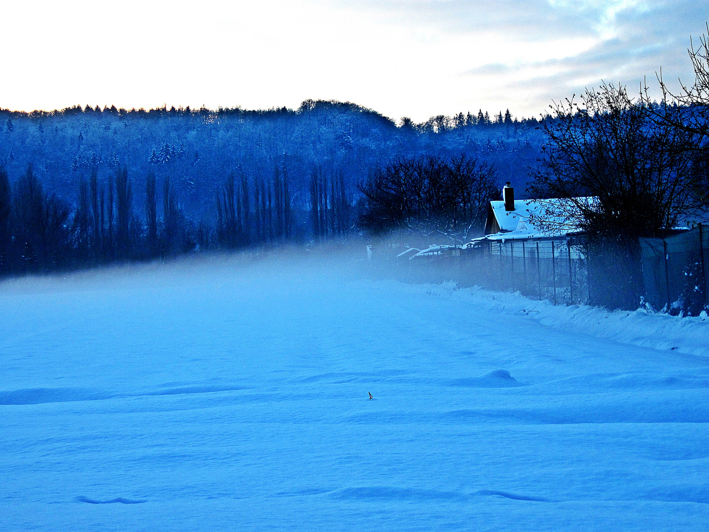 Eiskalter Winter