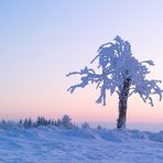 Eiskalter Winterabend