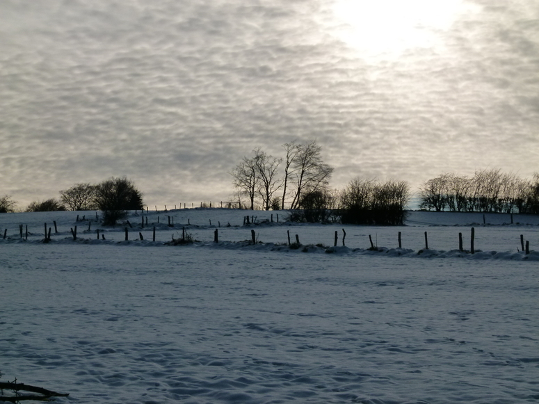 Eiskalter Winterhimmel im Hohen Venn