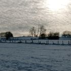 Eiskalter Winterhimmel im Hohen Venn