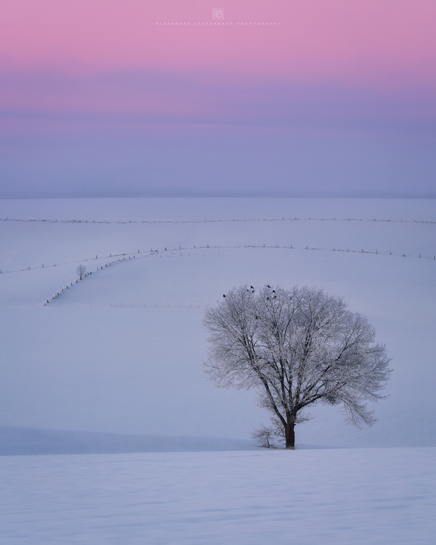 Eiskalter Wintermorgen