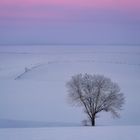 Eiskalter Wintermorgen