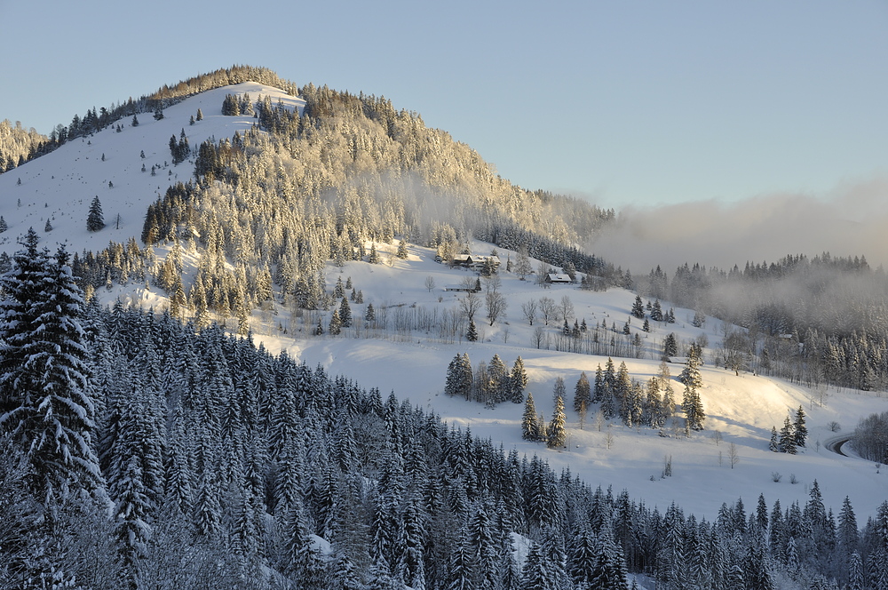 Eiskalter Wintermorgen