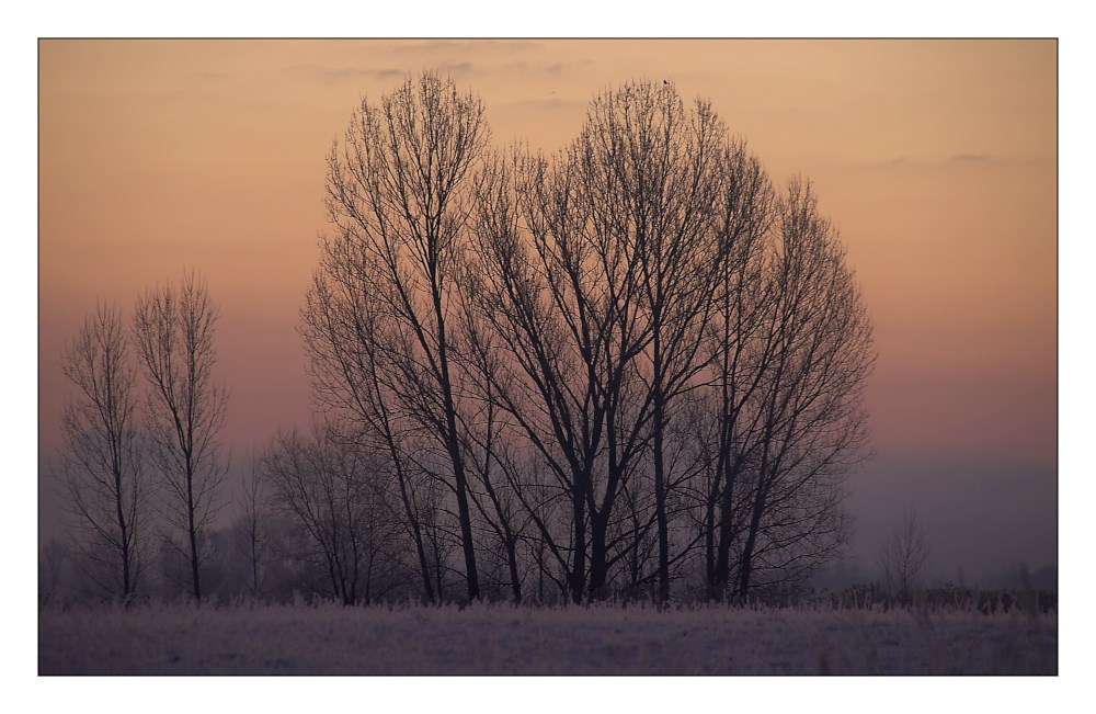 Eiskalter Wintermorgen I