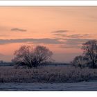 Eiskalter Wintermorgen II