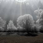 Eiskalter Wintermorgen im Aichtal