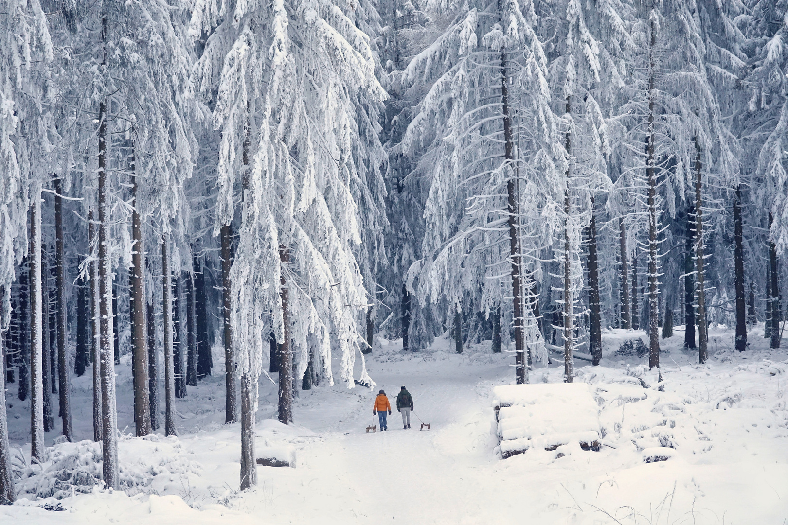 Eiskalter Wintertag 