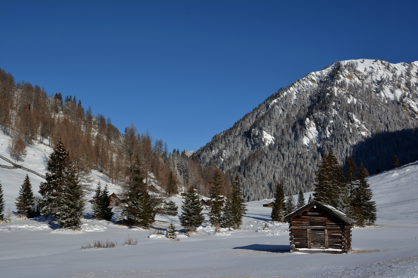 Eiskalter Wintertag 