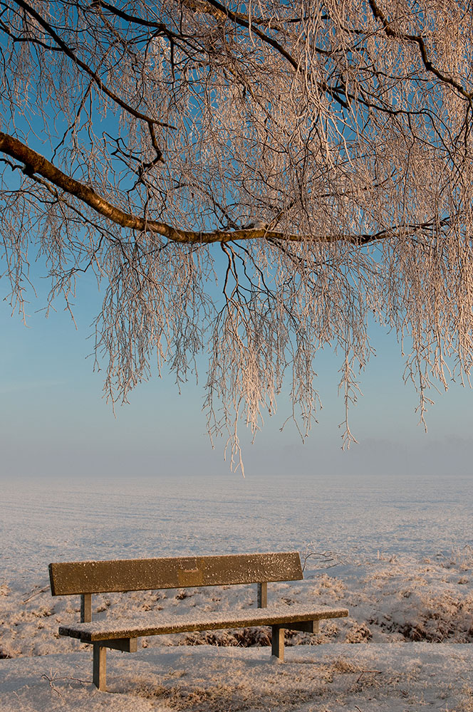 Eiskaltes Bänkchen