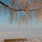 Eiskaltes Bänkchen