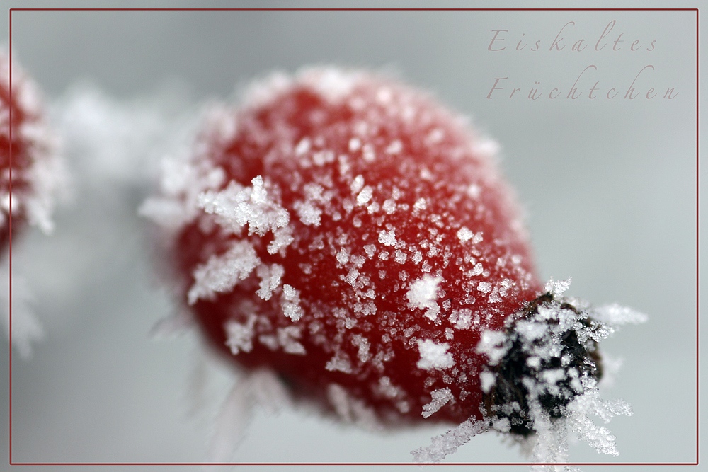 Eiskaltes Früchtchen