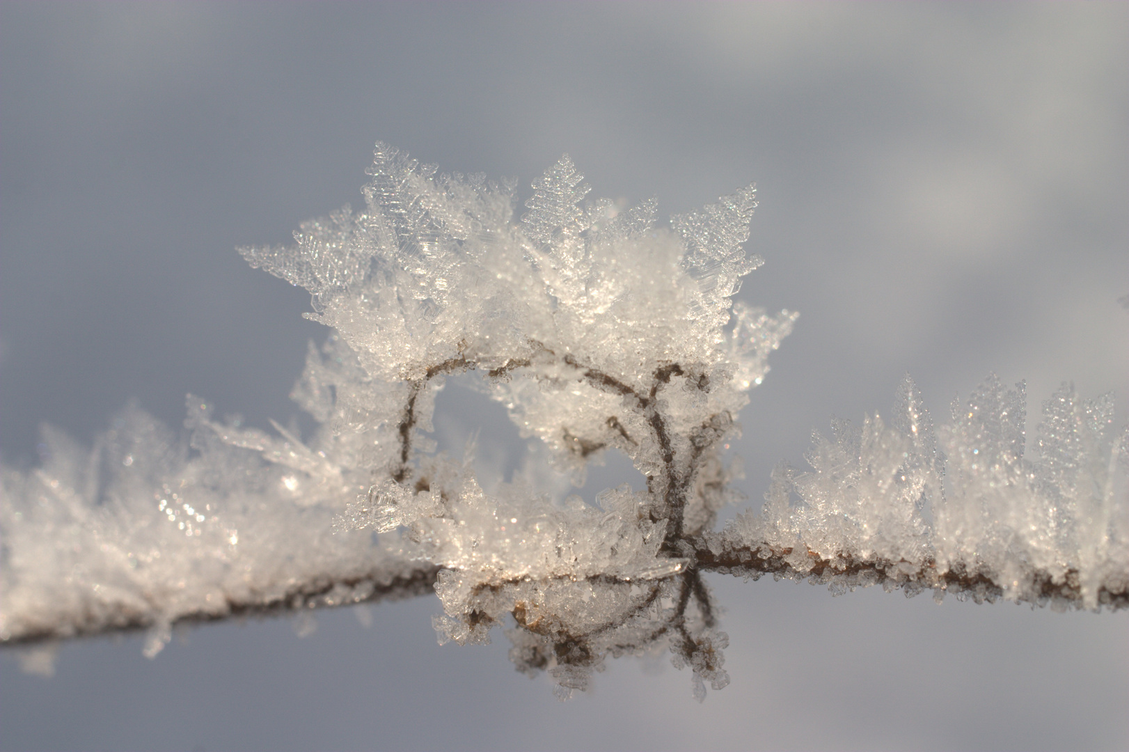 Eiskaltes Herz