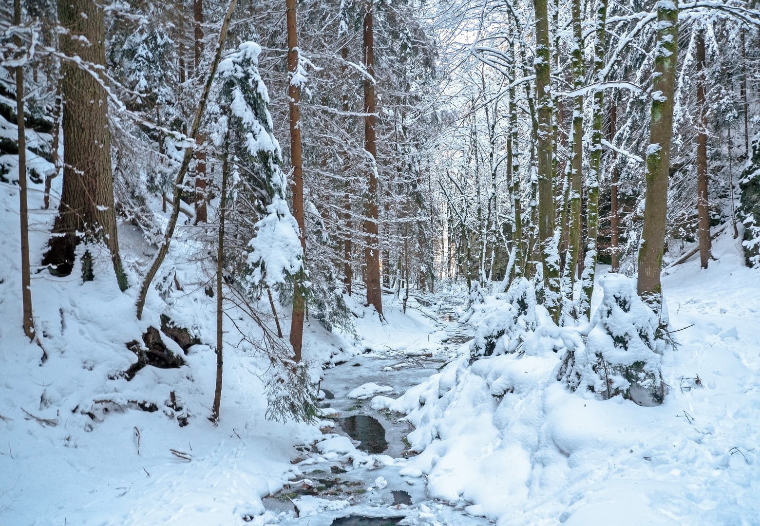 Eiskaltes Mardertal