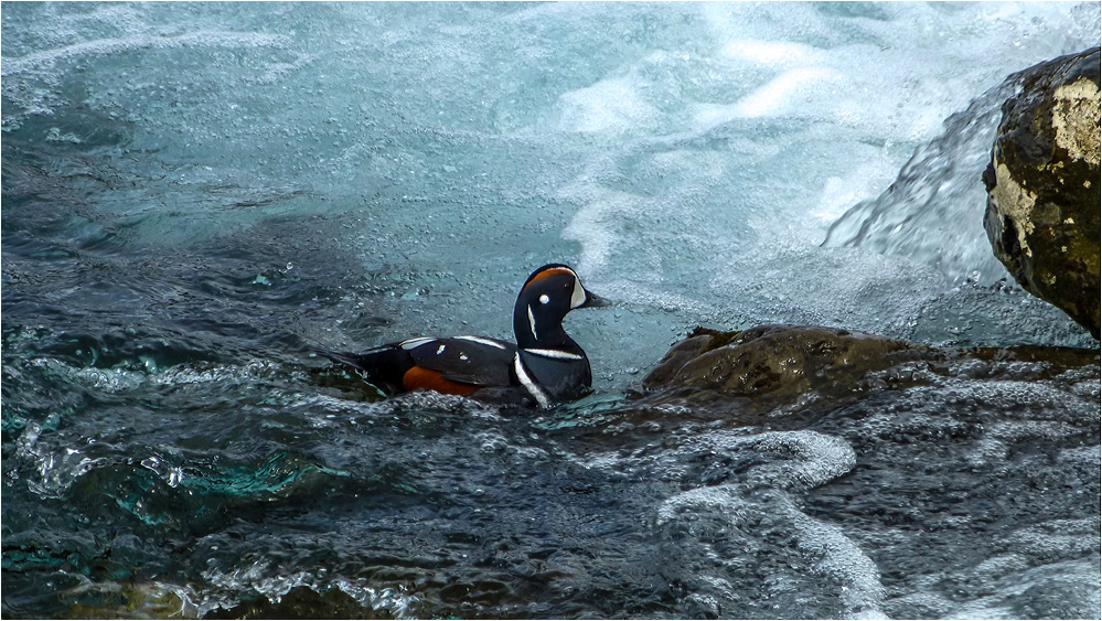 Eiskaltes Wasser...