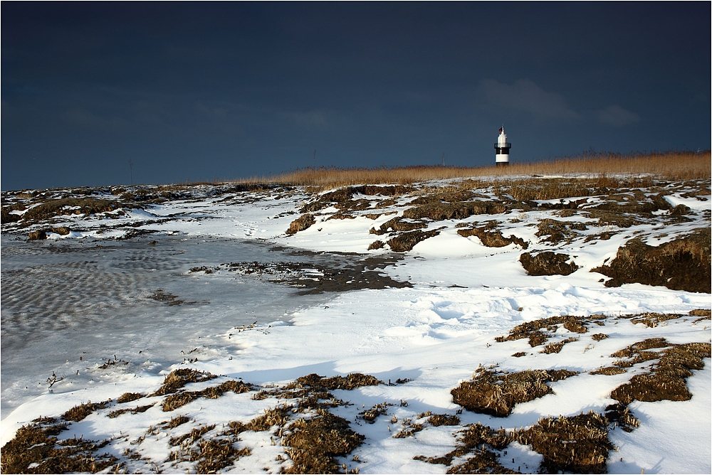 Eiskaltes Wattenmeer - Weltnaturerbe (2)