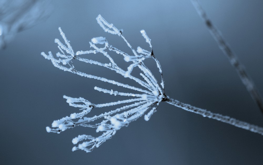 Eiskaltes Wunder