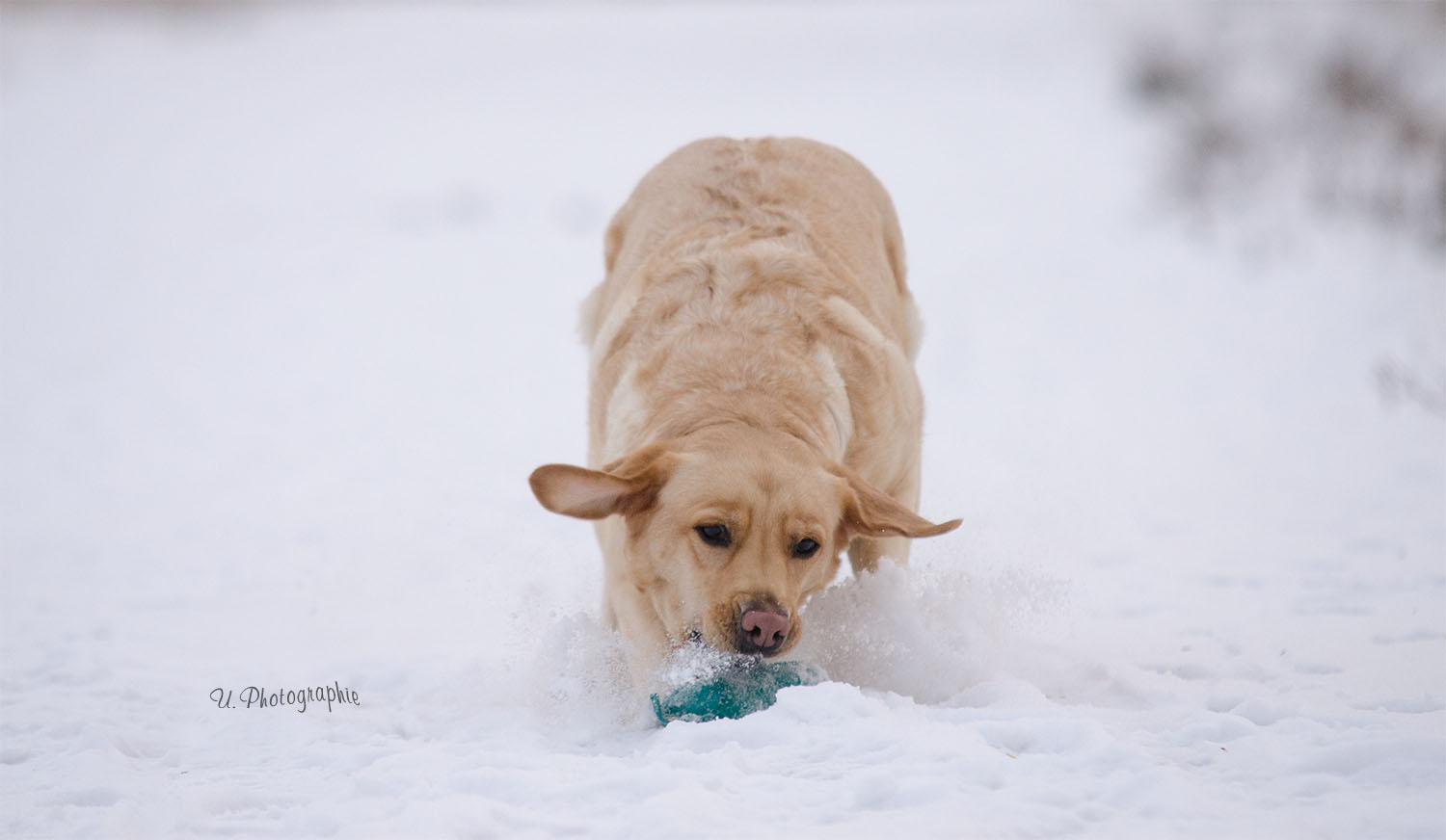 ..EisKaltesShooting...