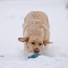 ..EisKaltesShooting...