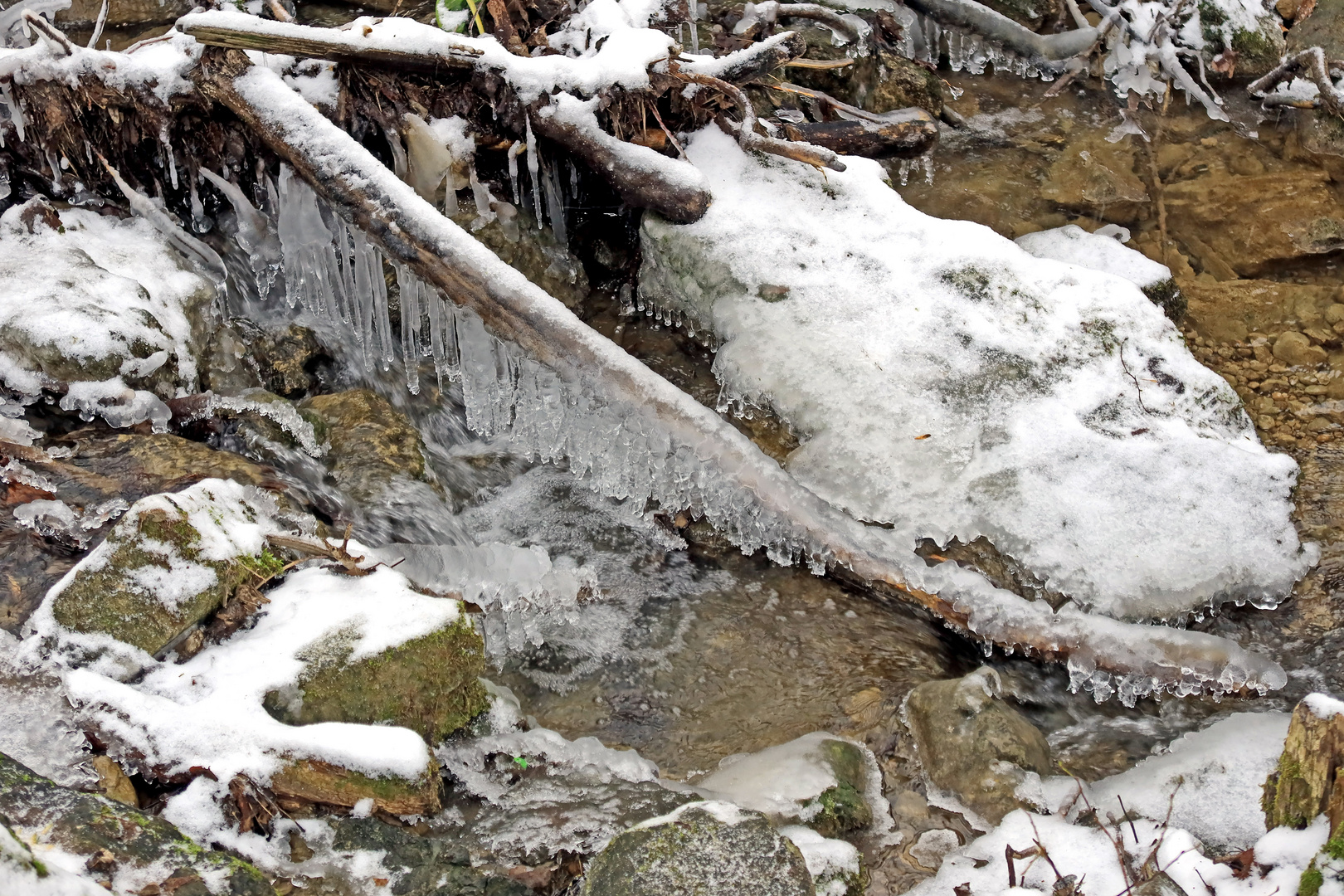 Eiskamm im Bergbach