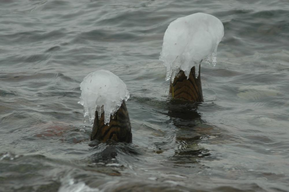 Eiskappen