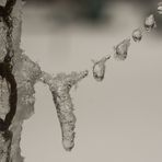 Eiskette mit Frischschnee